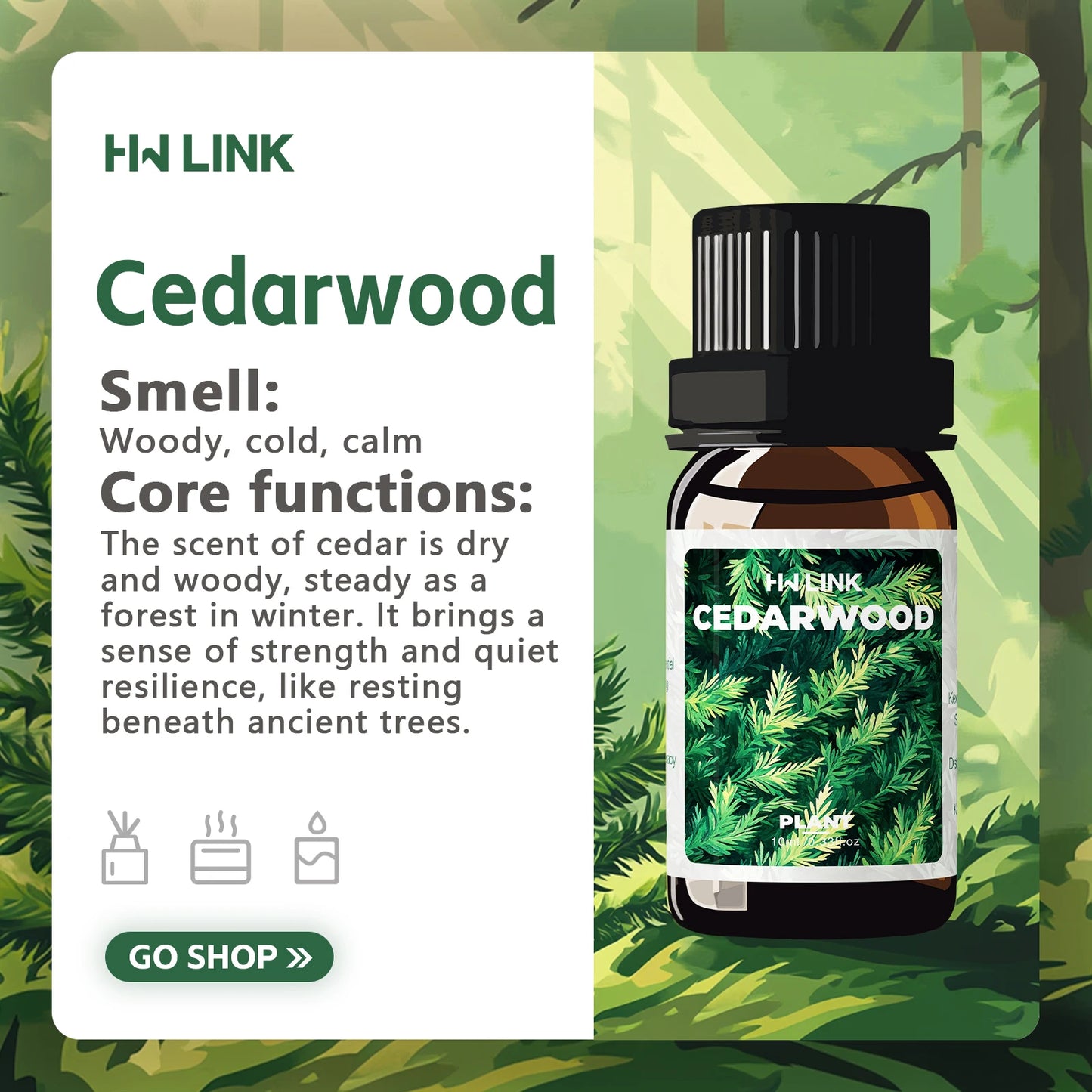 Pure Cedarwood Essential Oil – 100% Natural Aromatherapy Oil for Hair, Skin, Massage & Diffusers (10ml)