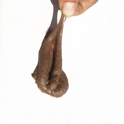 Fake Poop Prank Toy
