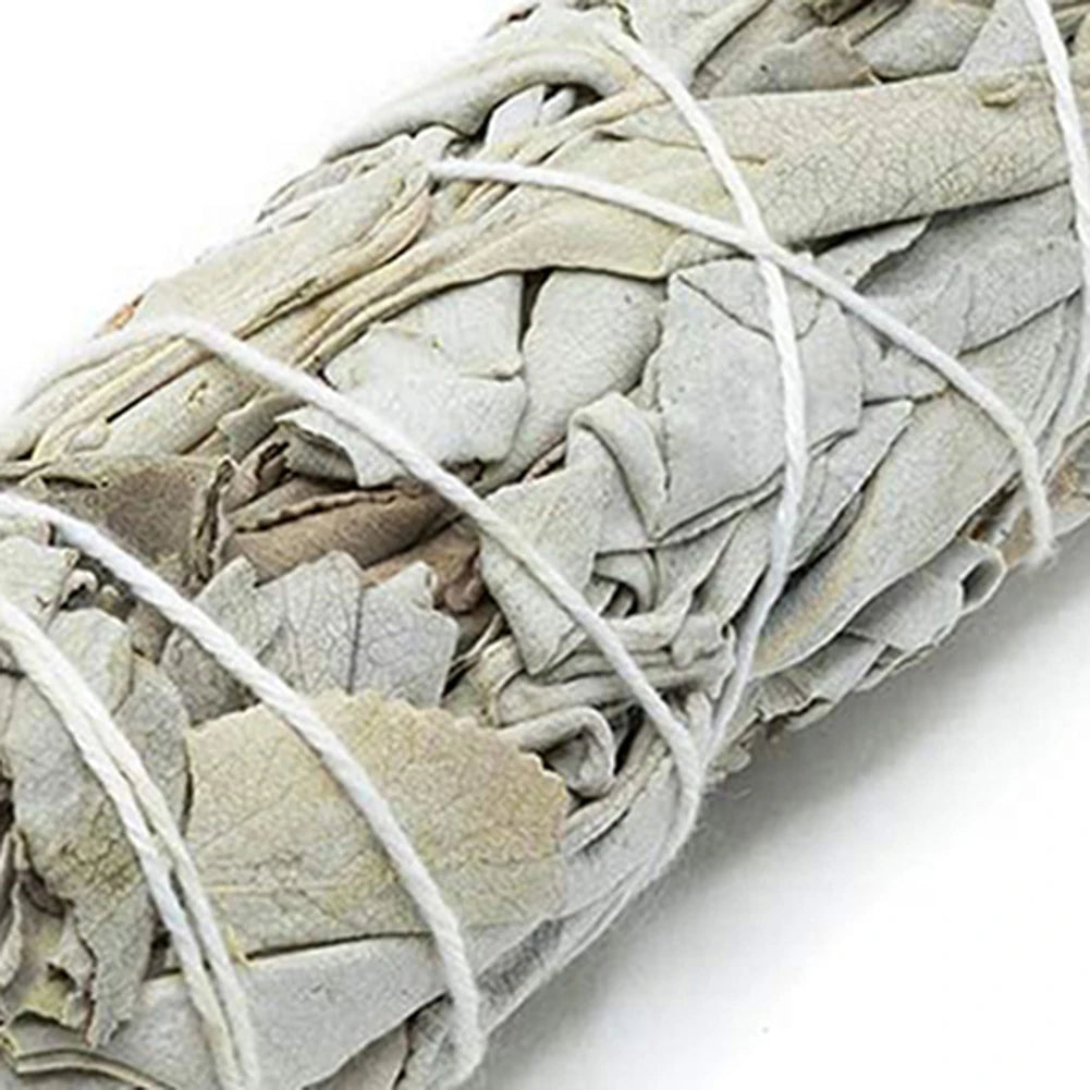 Natural White Sage Smudge Sticks – Purification & Cleansing Bundle