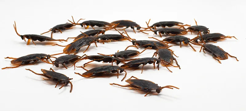 Fake Cockroach Prank Set