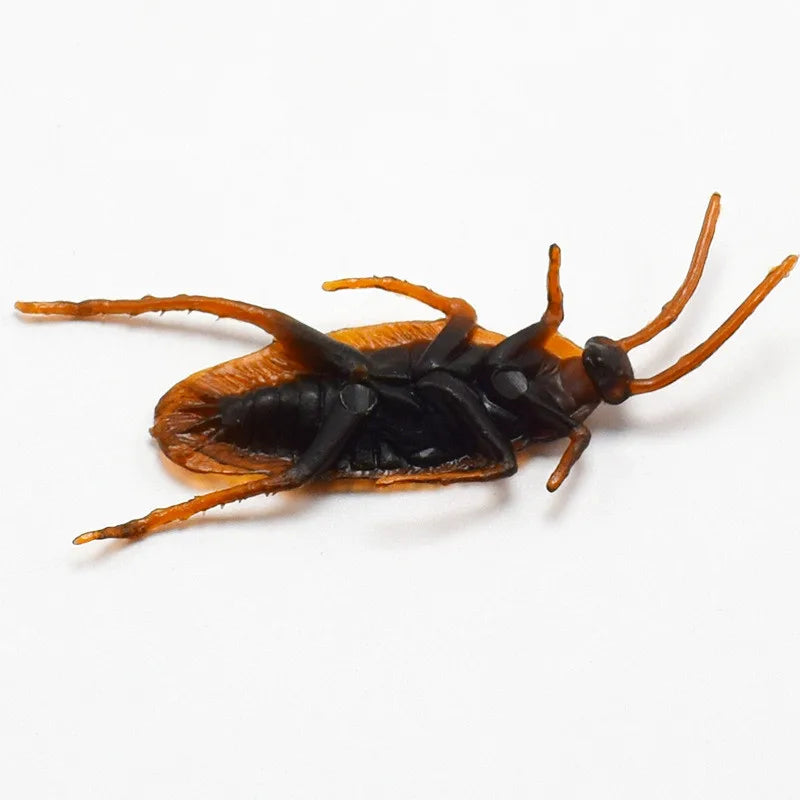 Fake Cockroach Prank Set