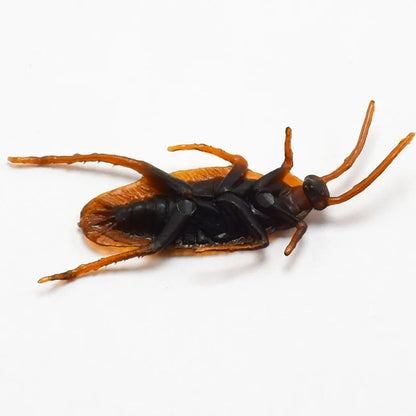 Fake Cockroach Prank Set
