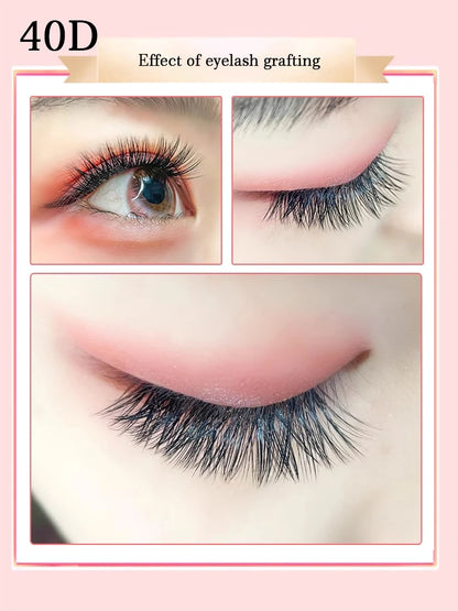 Individual 20–100D Cluster Lashes – 280pcs Mixed Tray Volume Extensions