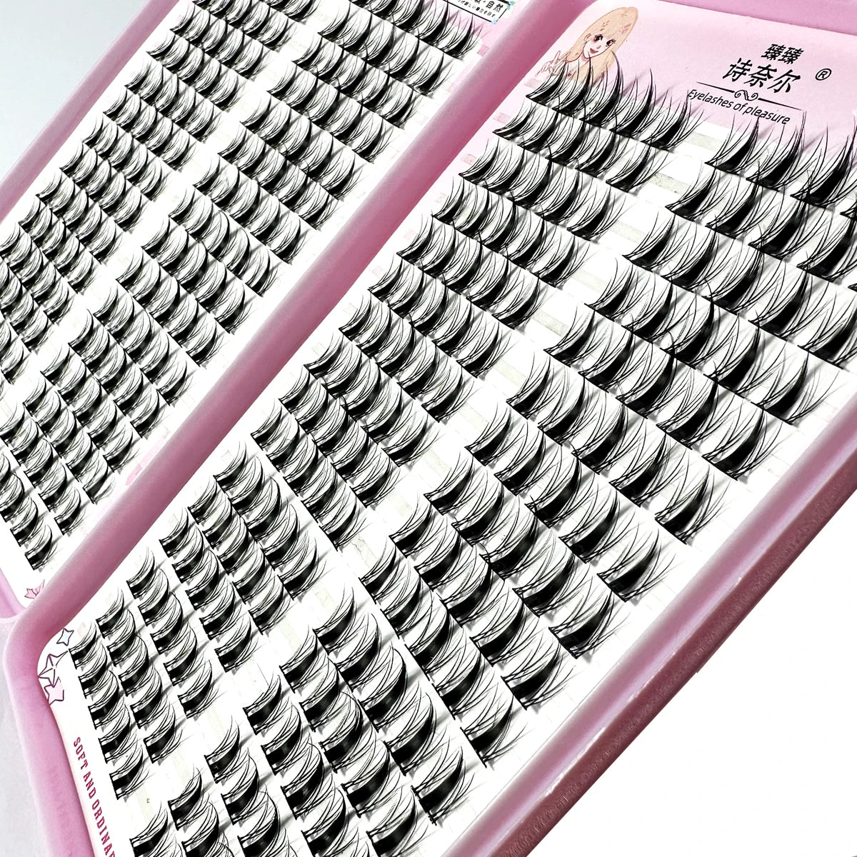 High-Capacity Individual Cluster Lashes (12mm / 13mm / 14mm)