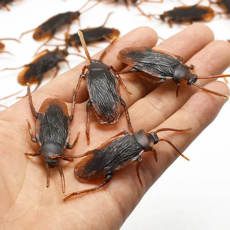 Fake Cockroach Prank Set