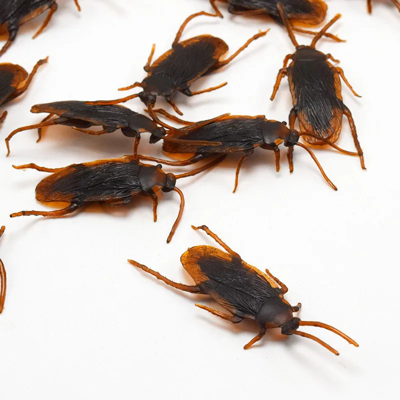 Fake Cockroach Prank Set