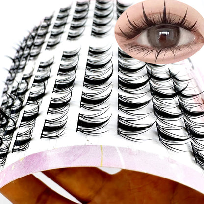 High-Capacity Individual Cluster Lashes (12mm / 13mm / 14mm)