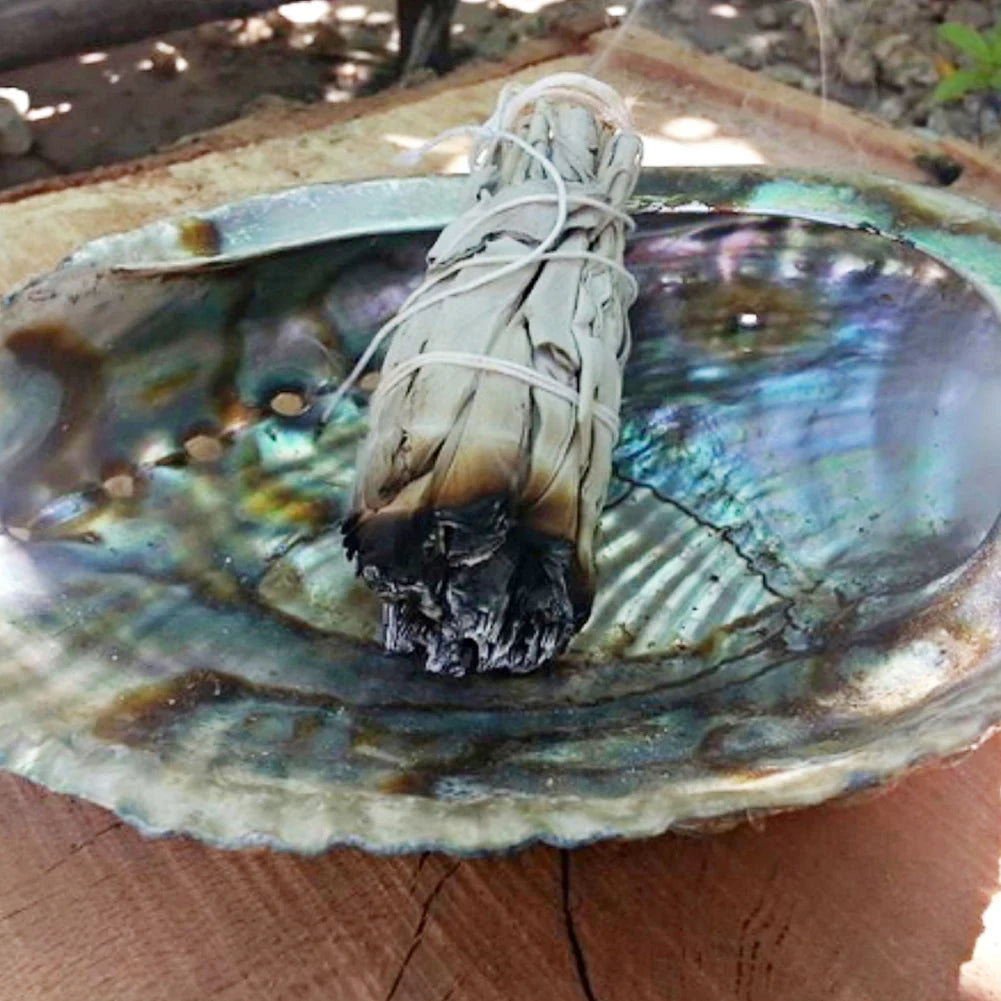 Natural White Sage Smudge Sticks – Purification & Cleansing Bundle