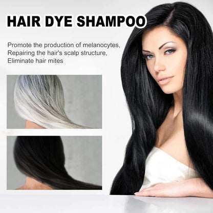 EELHOE 100ml Natural Plant Hair Dye Shampoo – 3-in-1 Grey Coverage for Men & Women