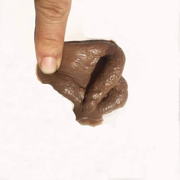 Fake Poop Prank Toy